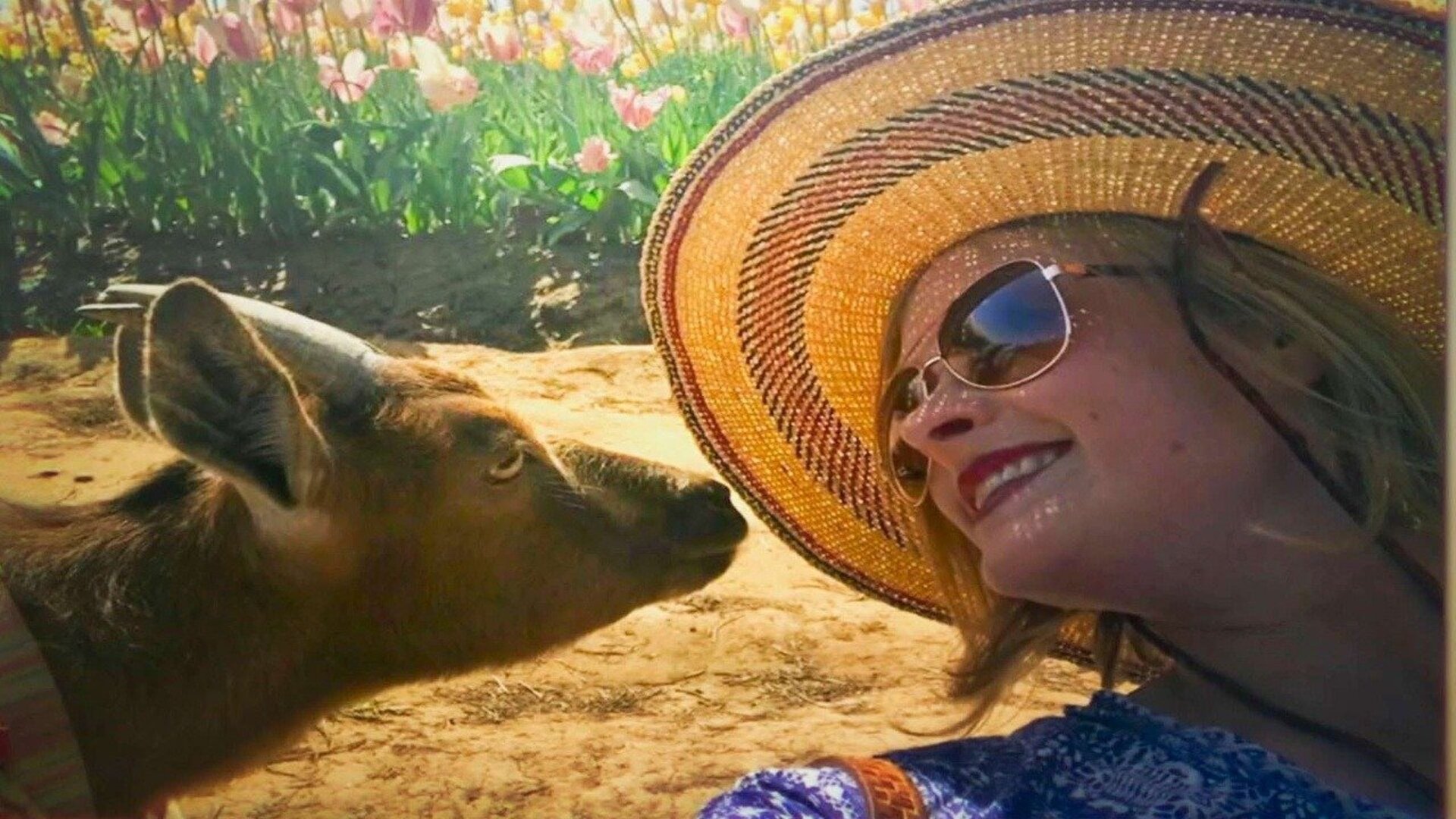 O Vínculo : A Cabra Viajante