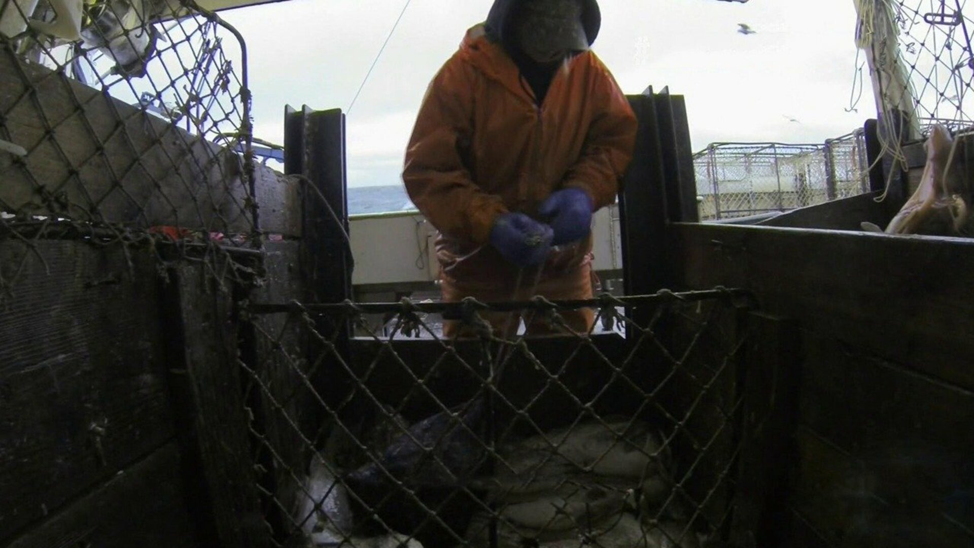 Pesca Mortal : O Desafio de Mandy