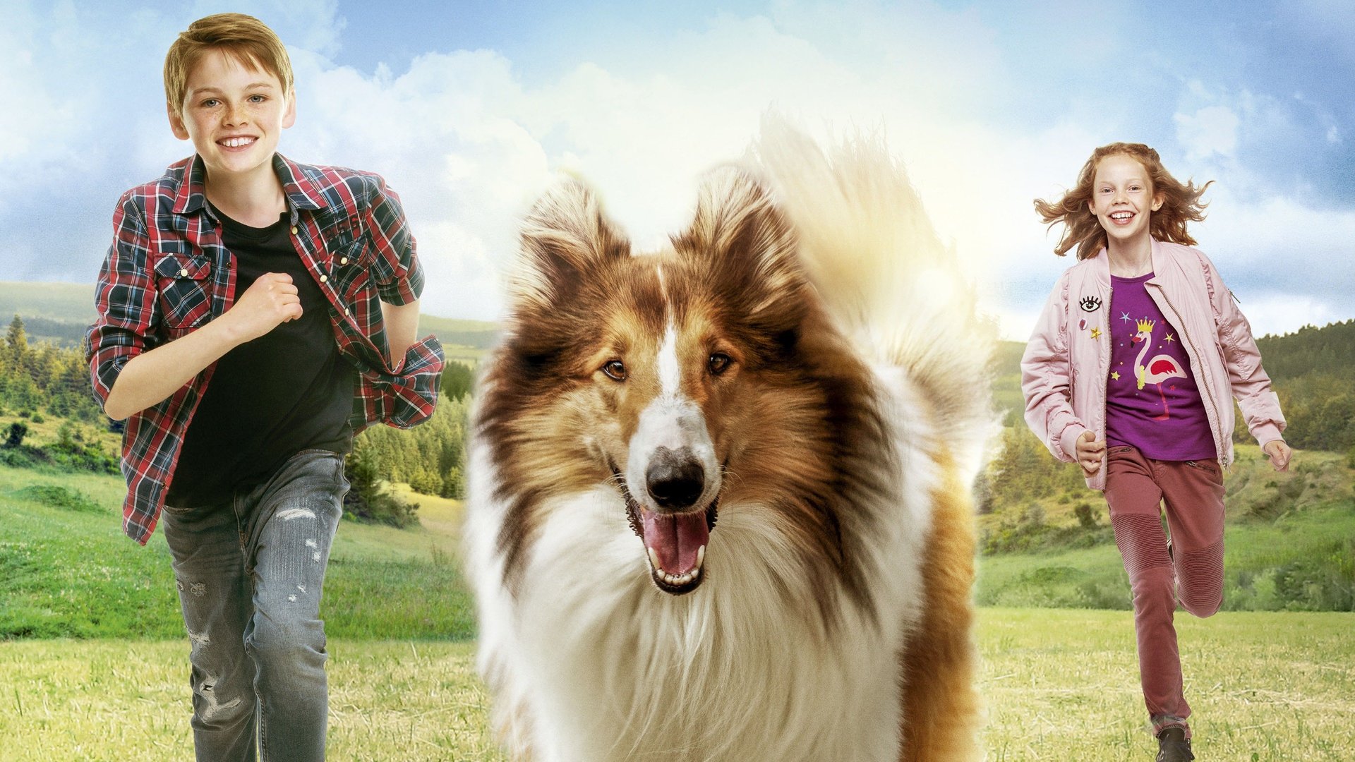 Lassie de Volta a Casa