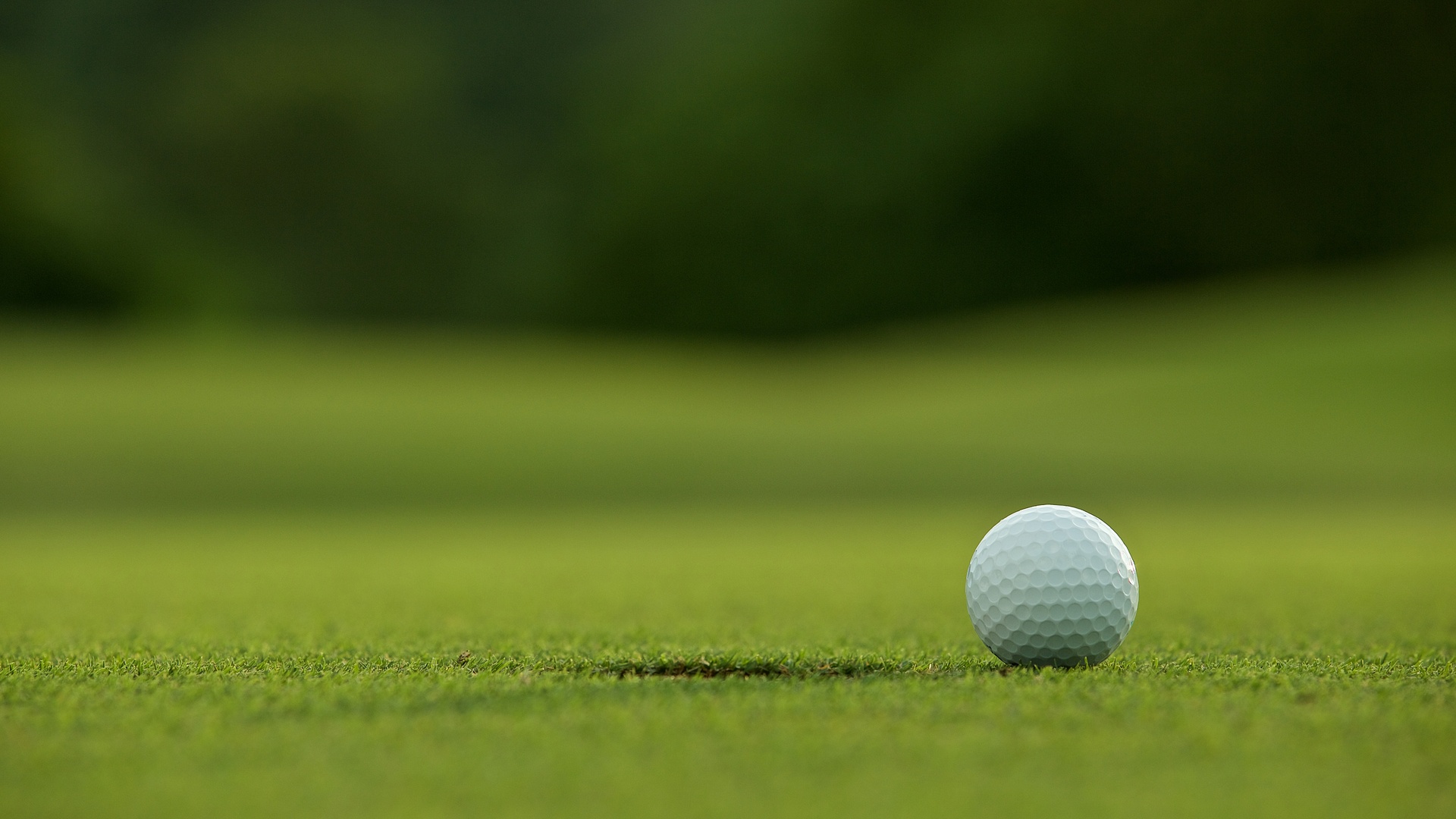 PGA TOUR: The CUT