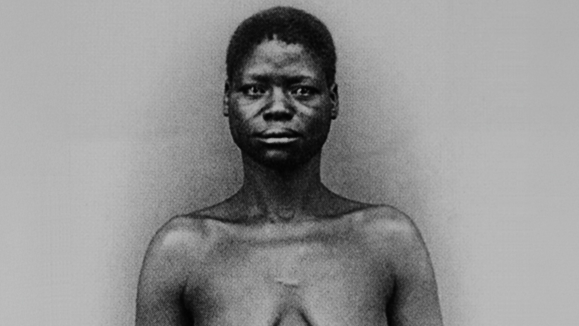 Raiz - Arte Afro-Brasileira Contemporânea : Rosana Paulino - Assentamentos
