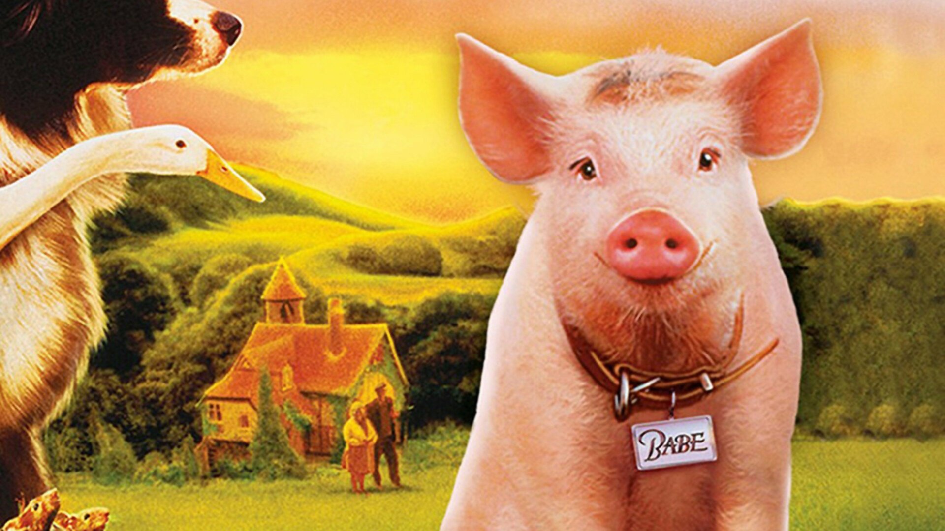 Babe - O Porquinho Atrapalhado