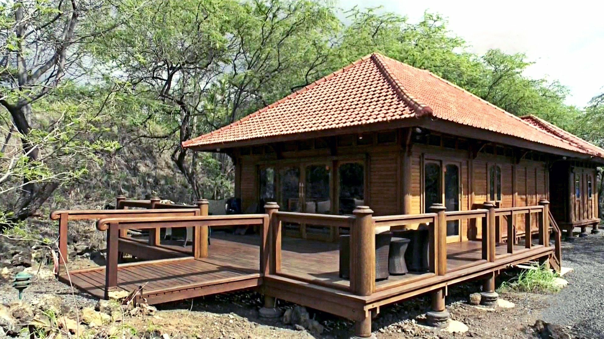 Buying Hawaii : T1 EP6 - Febre da Selva