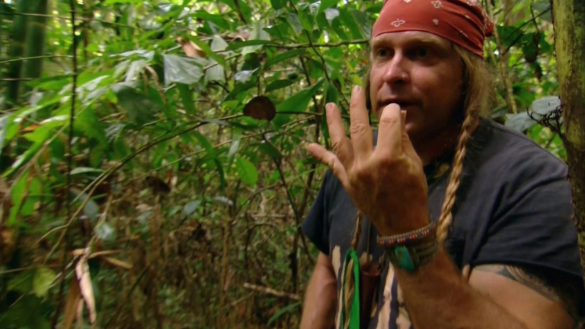 Desafio em Dose Dupla : Mordidos