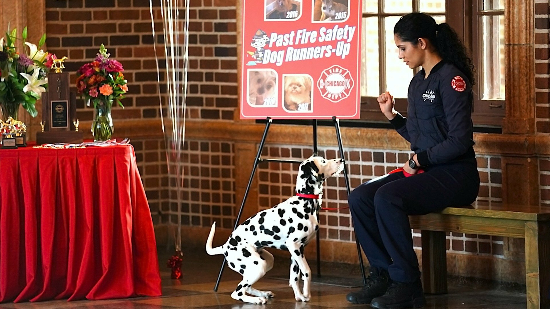 Chicago Fire : A Escolha É Sua