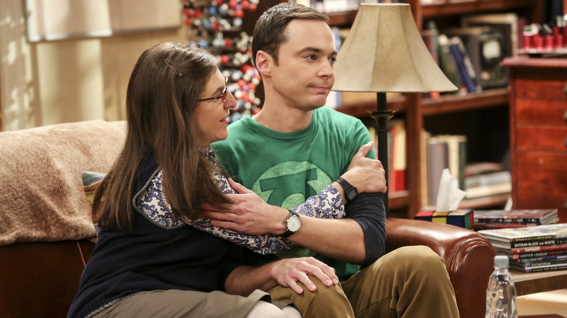 The Big Bang Theory : The Cohabitation Experimentation