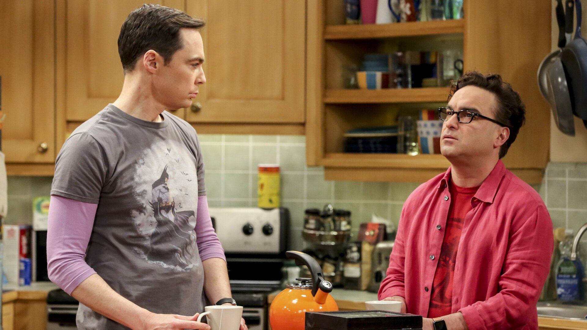 The Big Bang Theory : The Maternal Conclusion