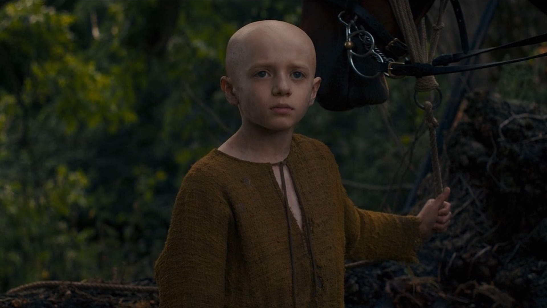 O Cavaleiro dos Sete Reinos : O Escudeiro