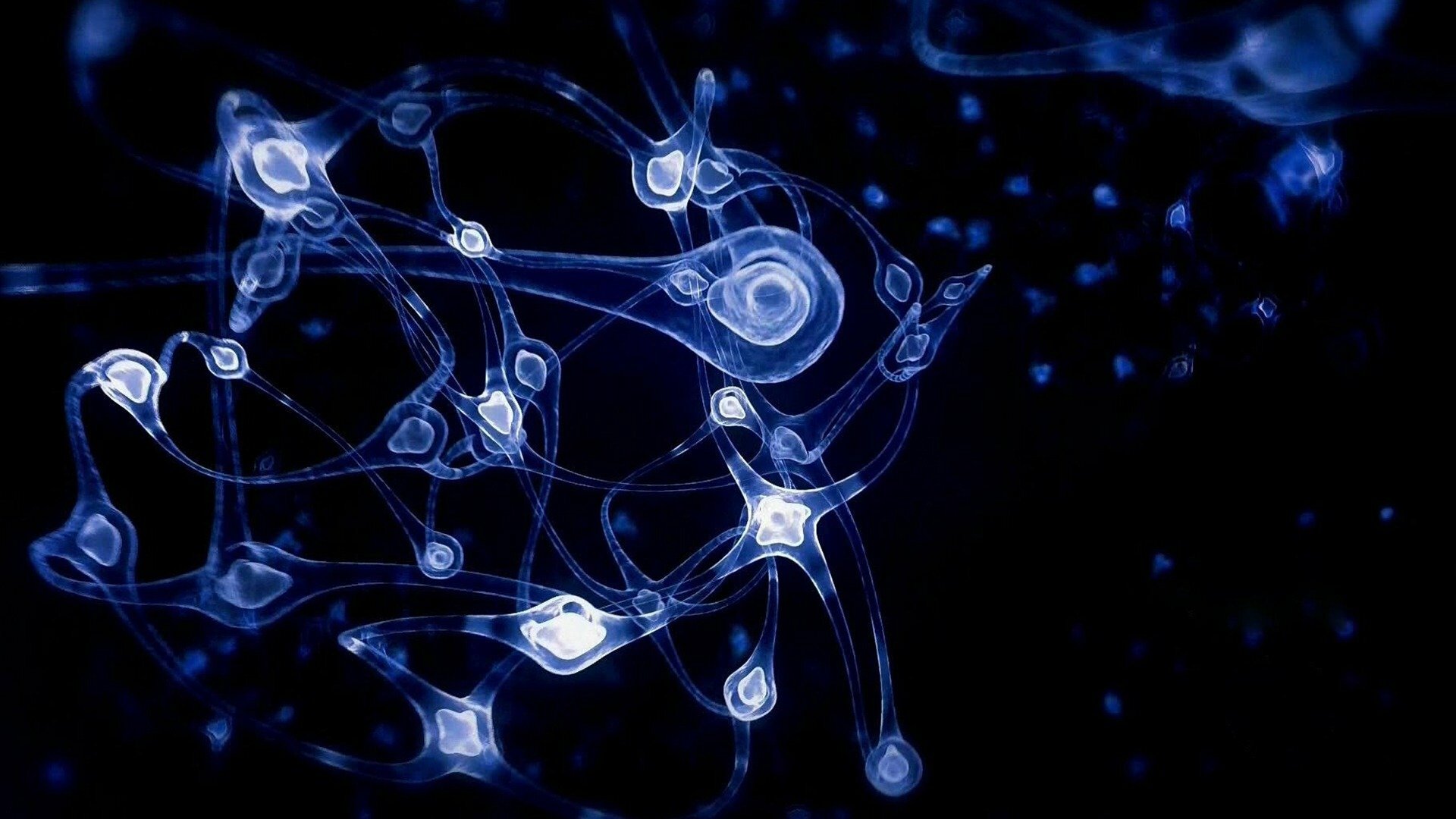 Grandes Mistérios do Universo com Morgan Freeman : Por Que Nós Mentimos?