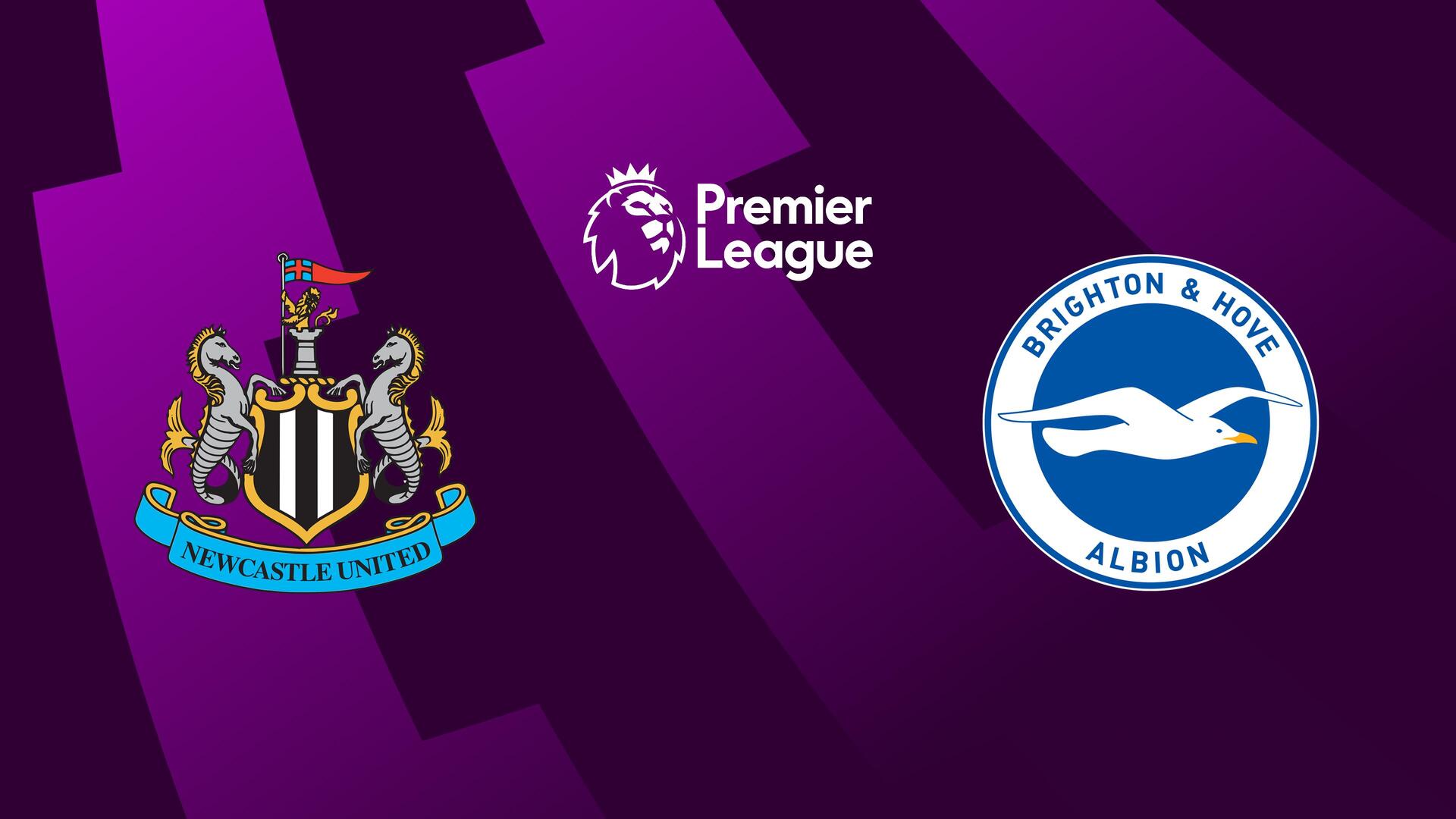 Newcastle United vs. Brighton & Hove Albion - Campeonato Inglês : Newcastle United vs. Brighton & Hove Albion