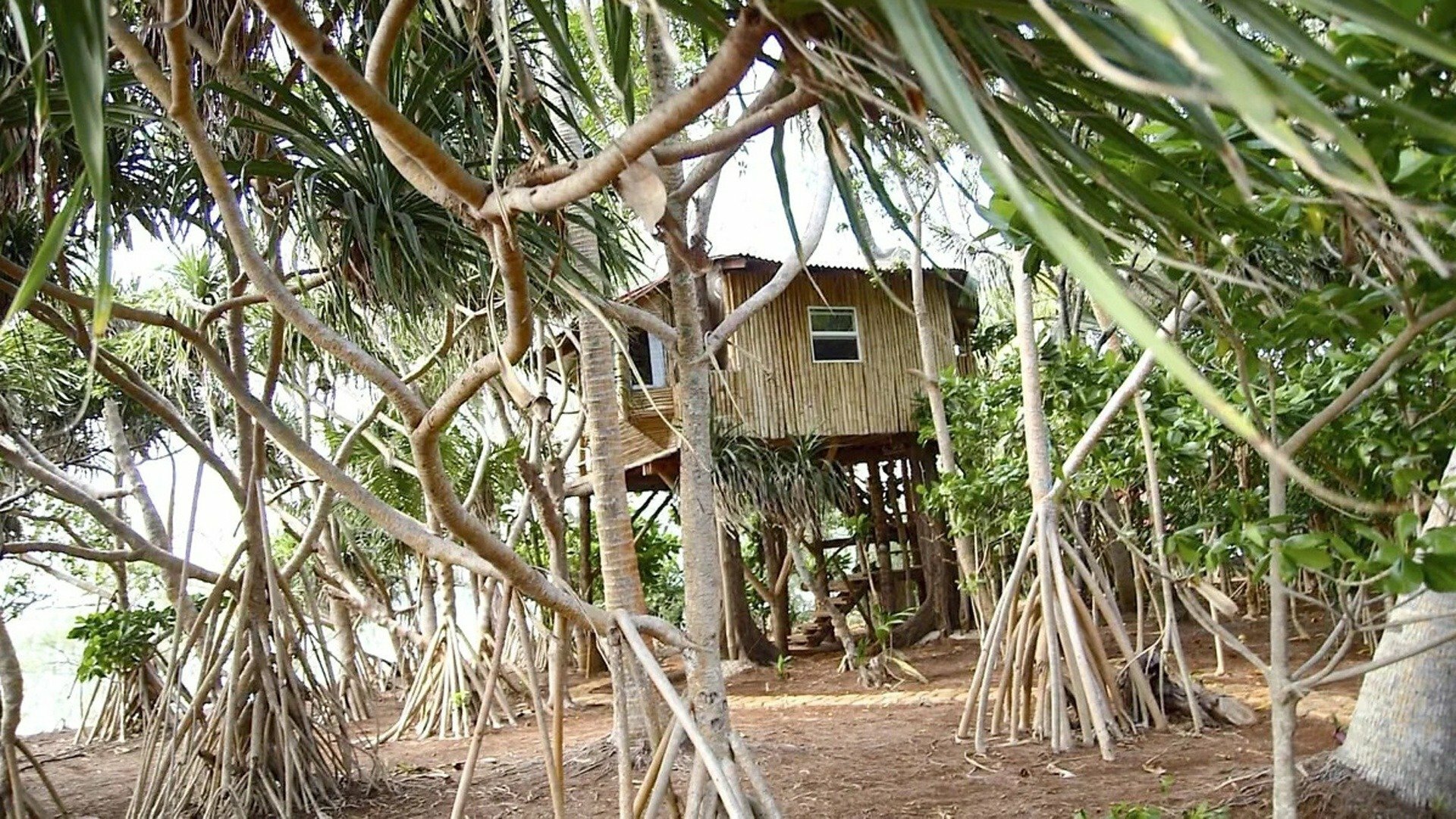 Vida na Praia : Minha Ilha e Eu