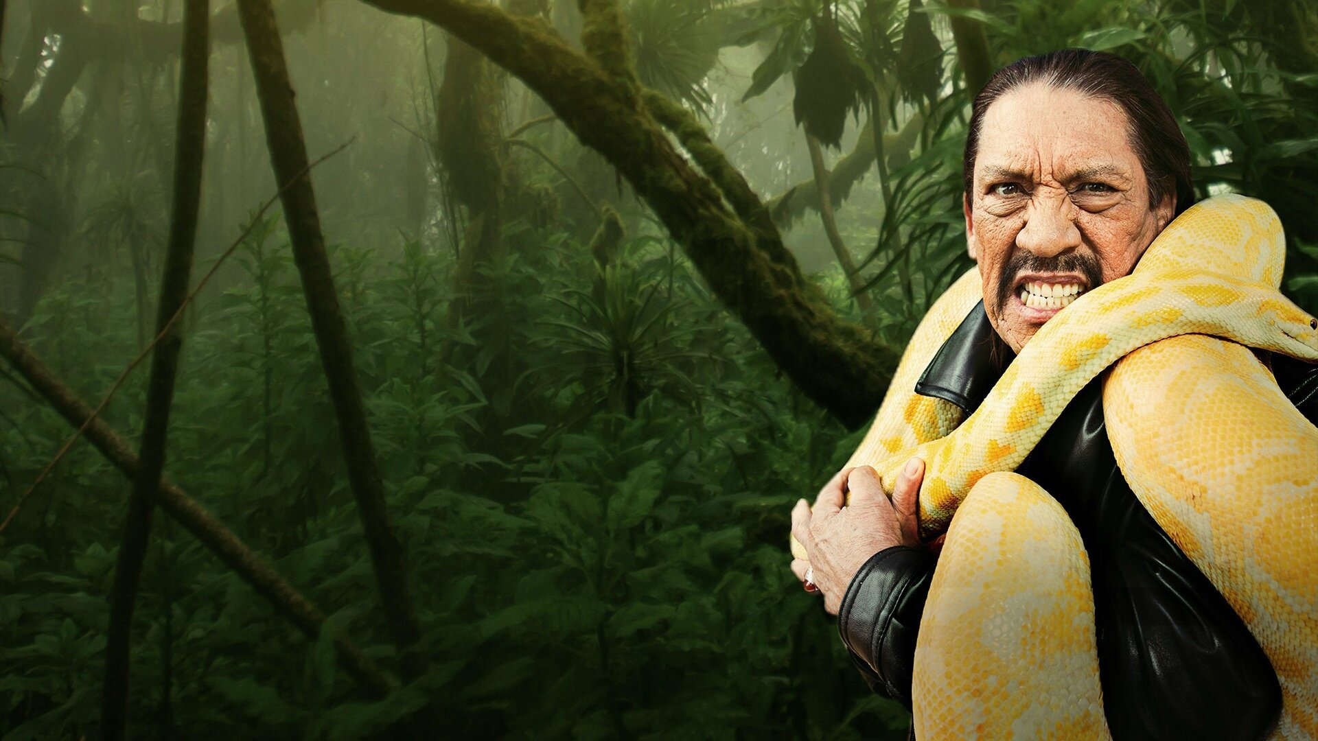 Cara a Cara com Serpentes