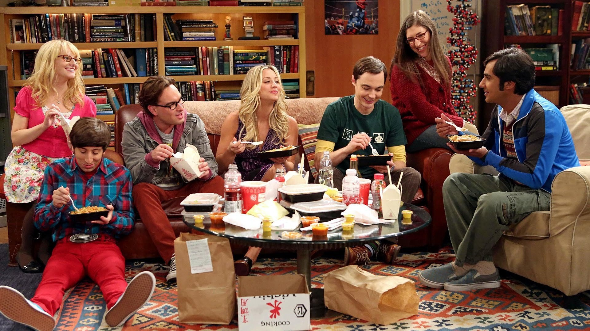 The Big Bang Theory : The Vacation Solution
