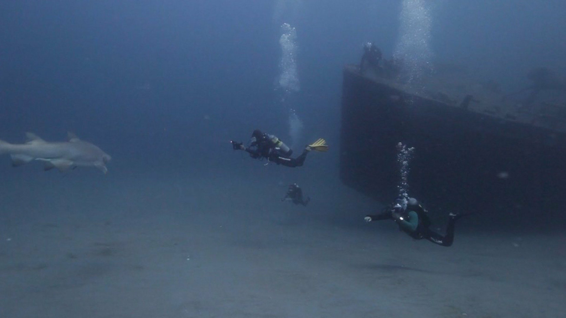 Naufrágios : USS Aeolus, Cargueiro de 120 Metros