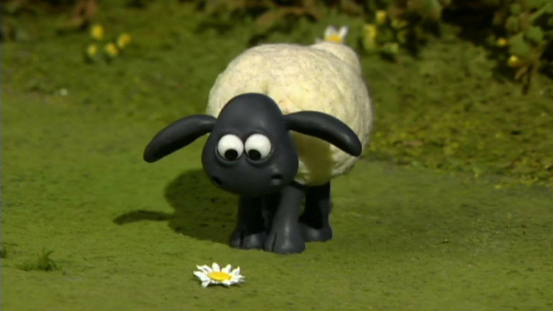 Shaun, o Carneiro : O Trator Quebrado