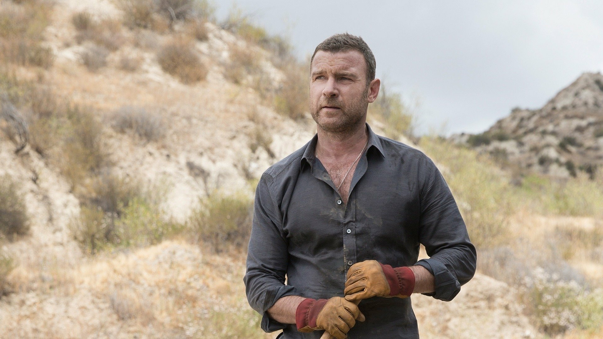 Ray Donovan : Em Busca de Vingança