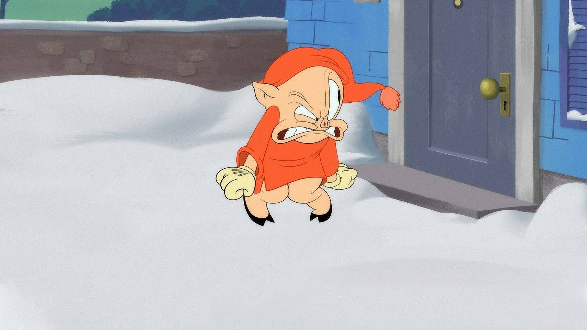 Looney Tunes Cartoons : Eufra-Mérica; Colocando o Gato...