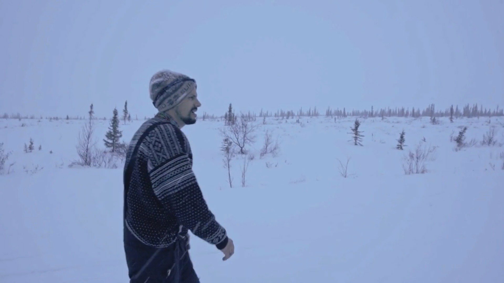 Em Busca das Luzes do Norte : O Ônibus do Alaska