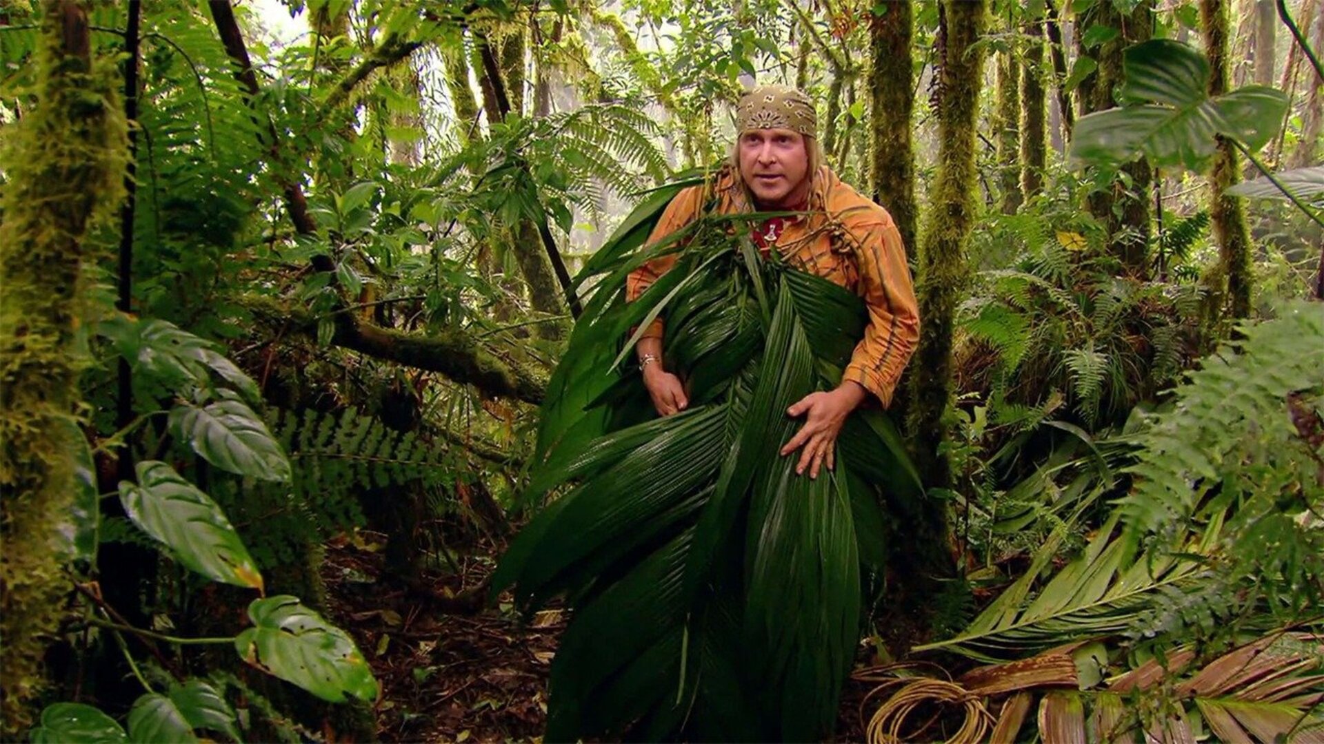 Desafio em Dose Dupla : Nuvens na Floresta