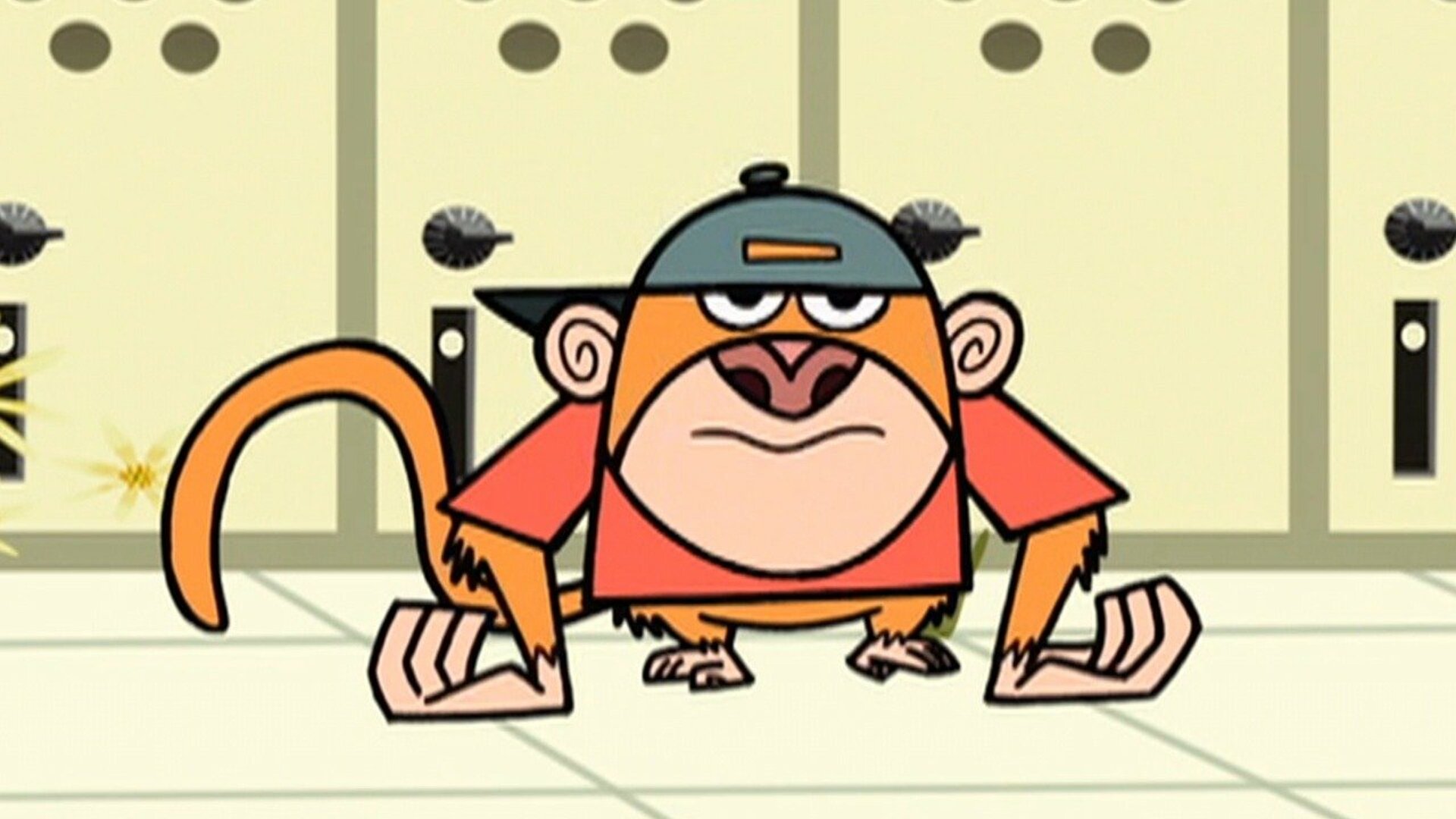 Meu Amigo da Escola É um Macaco : Leão Solitário