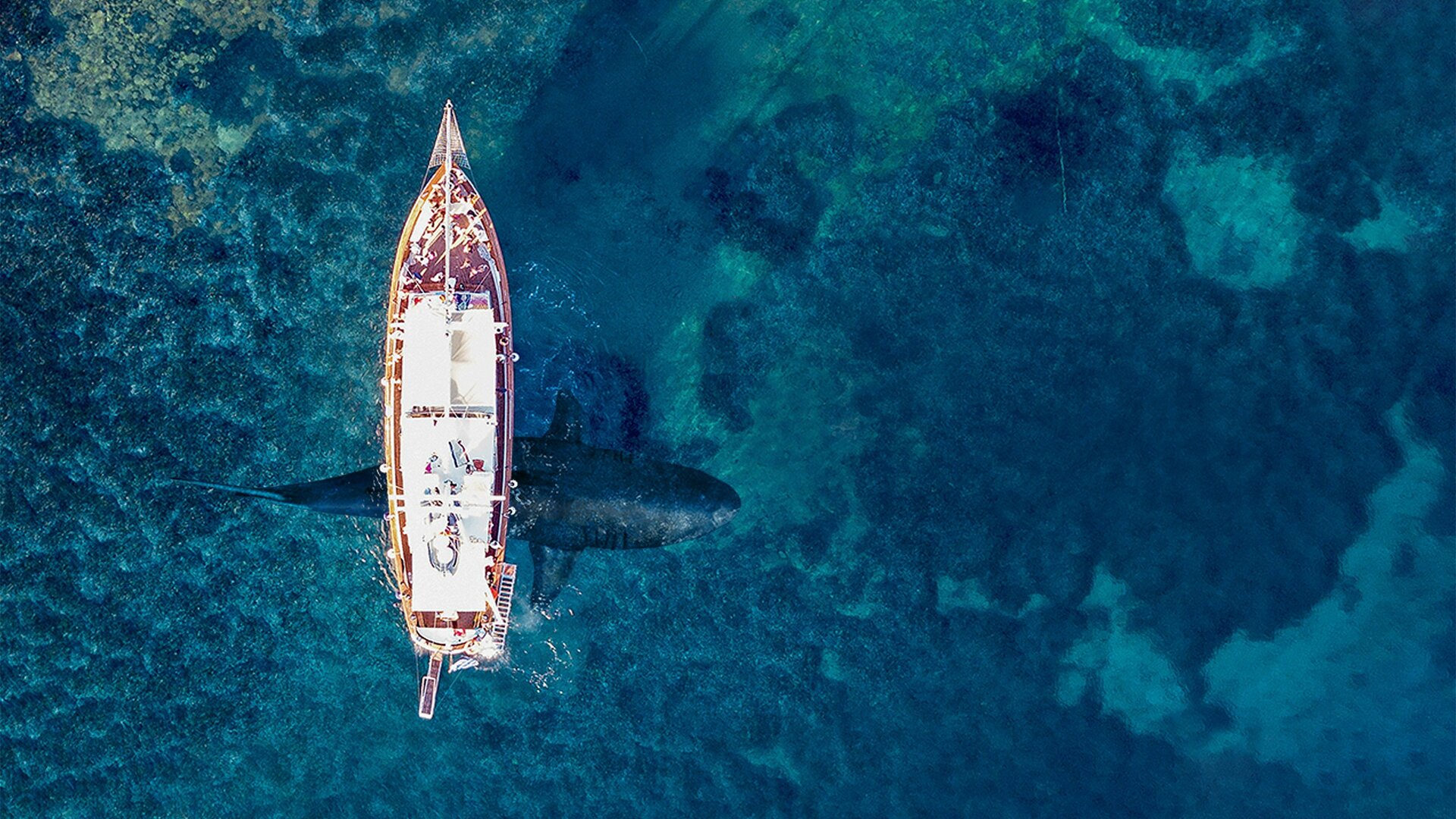 El Diablo - O Grande Tubarão Branco