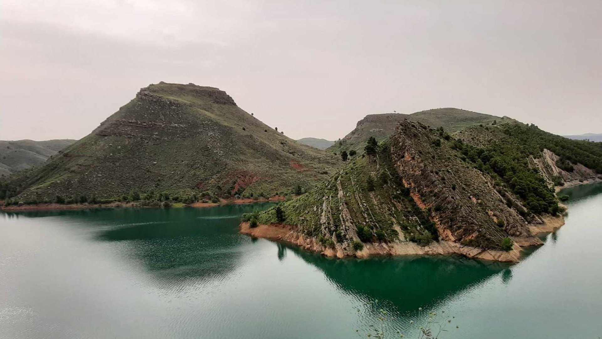 El escarabajo verde : El pan nuestro
