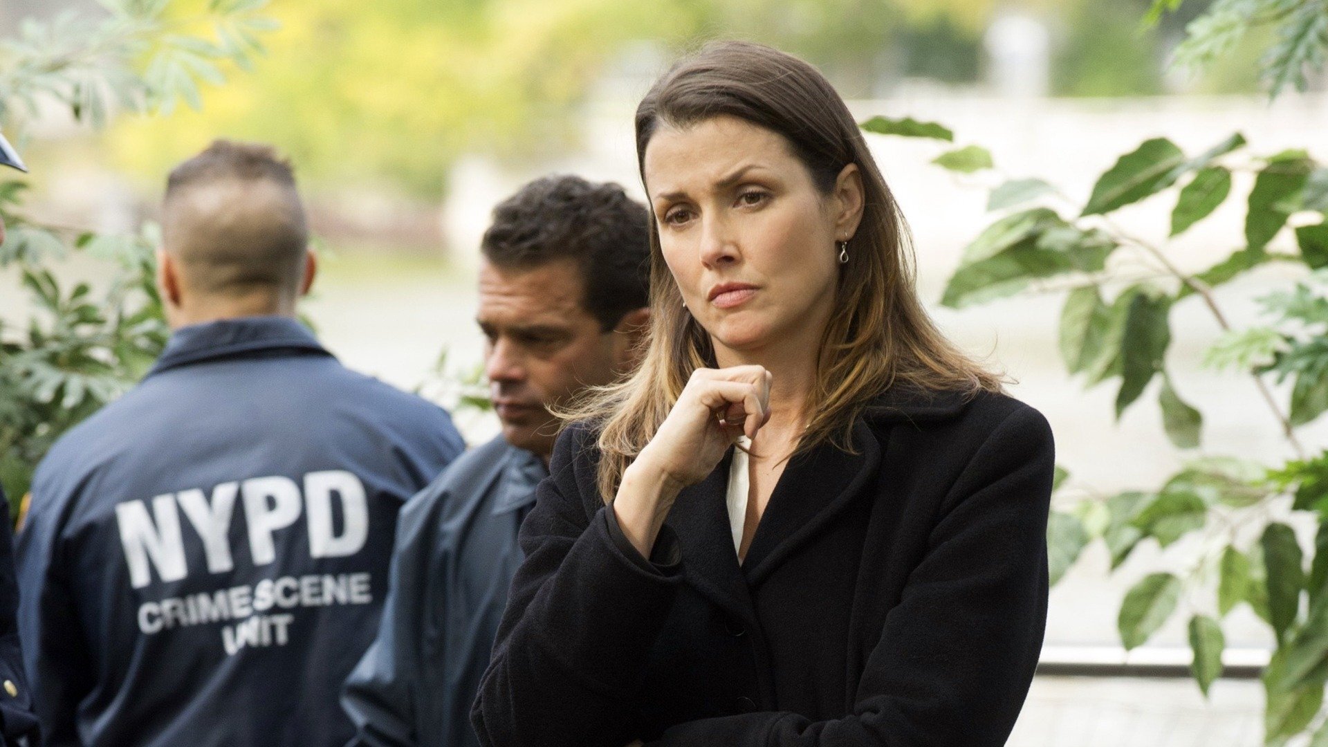 Blue Bloods : Esperas