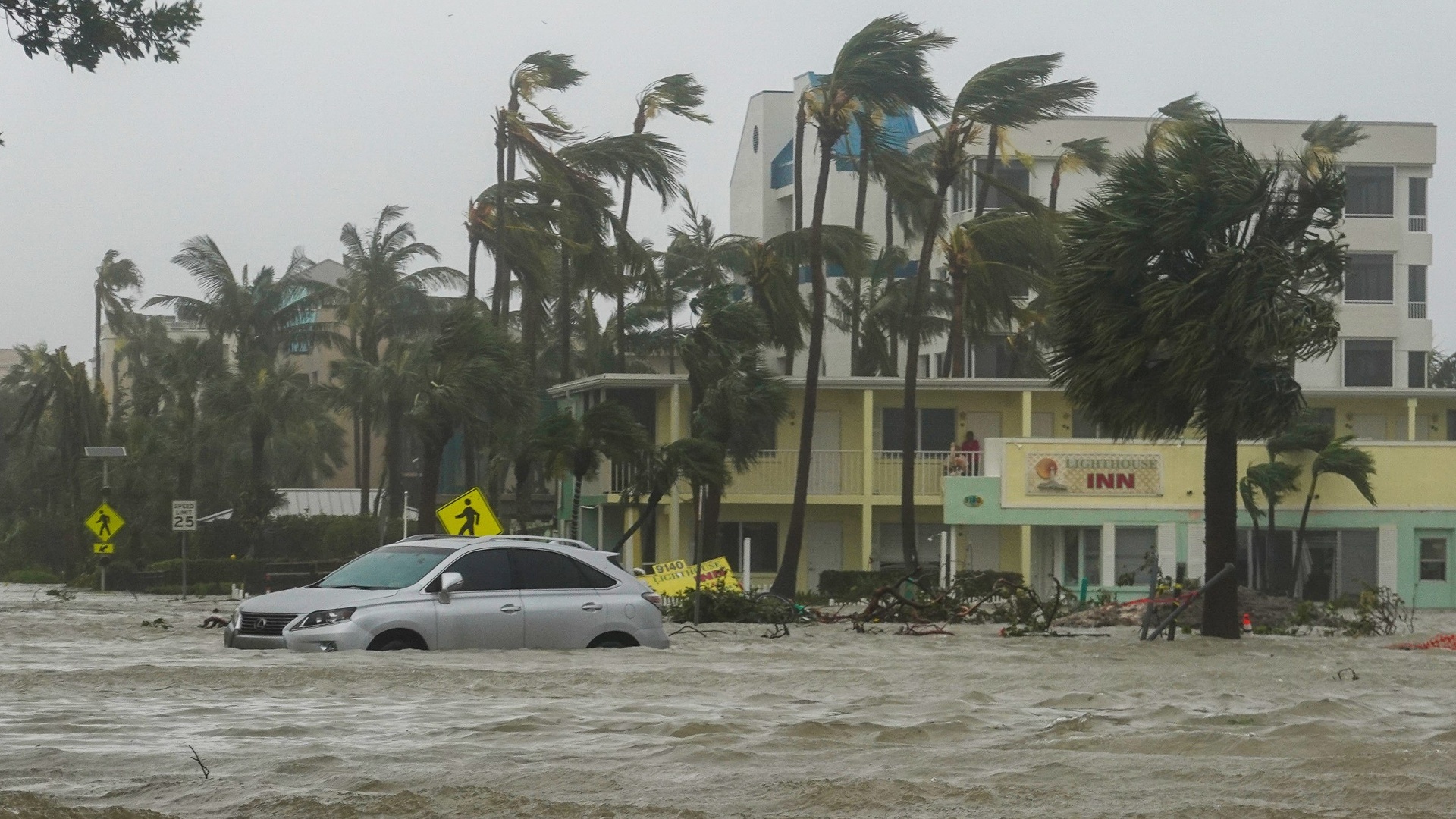 No Olho da Tempestade : Categoria 5 - Luta pela Sobrevivência