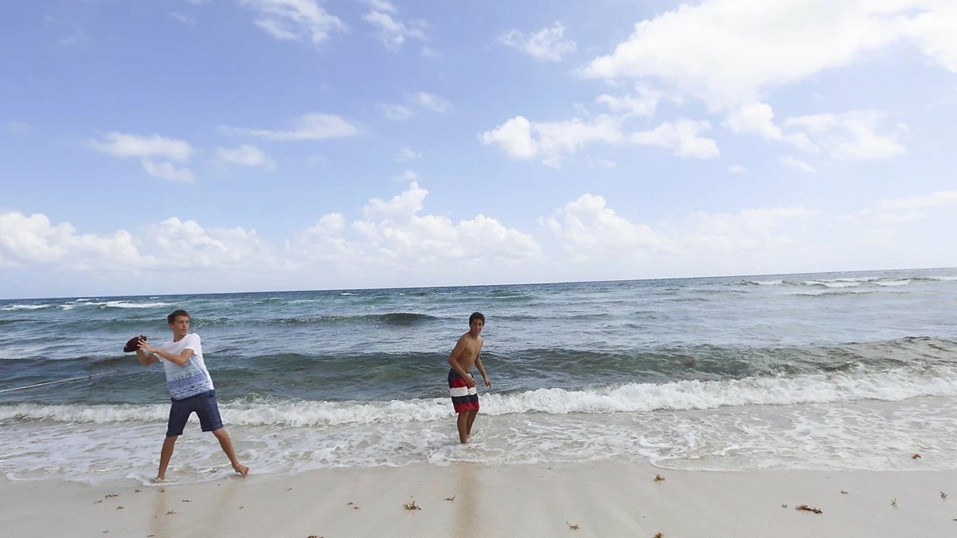 Vida na Praia : Entre Árvores
