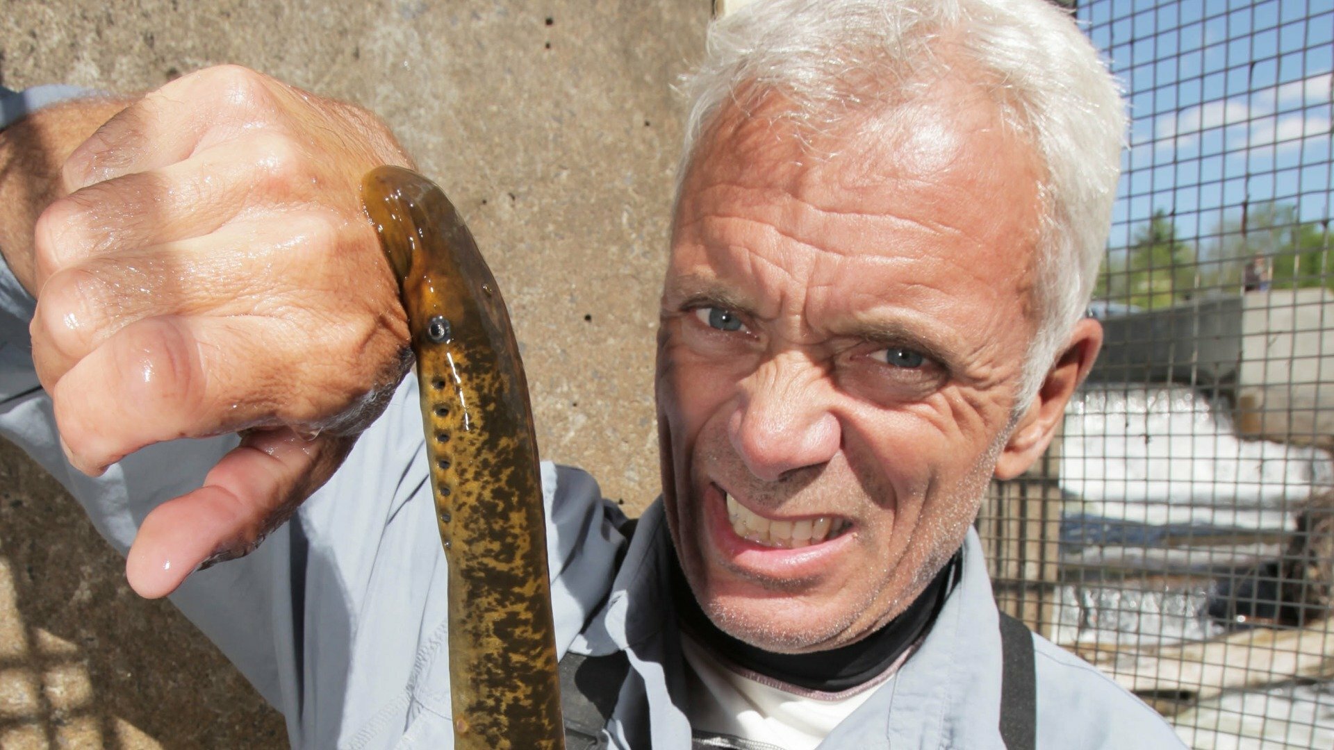 Monstros do Rio : Torpedo Assassino