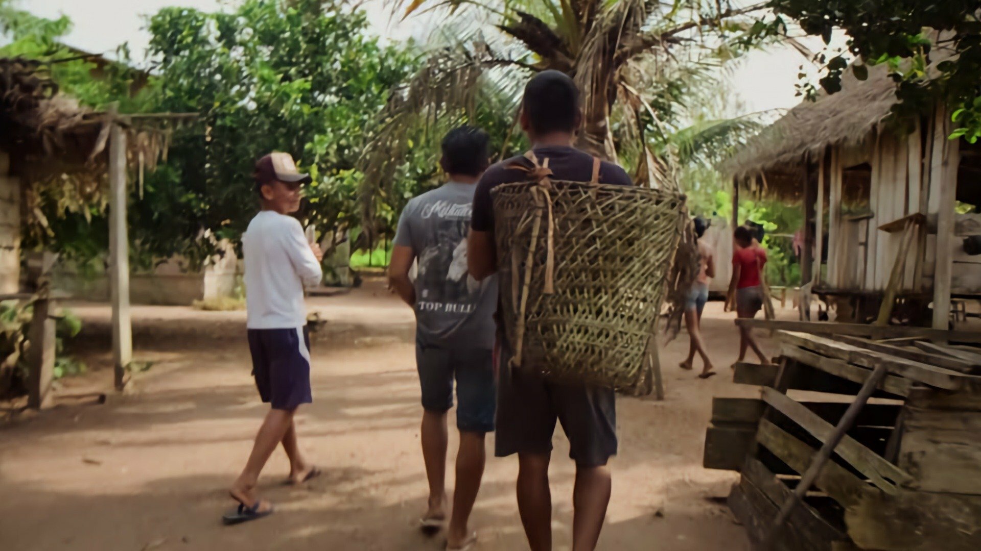 Amazônia, Arqueologia da Floresta : O Tabaco e a Cerveja