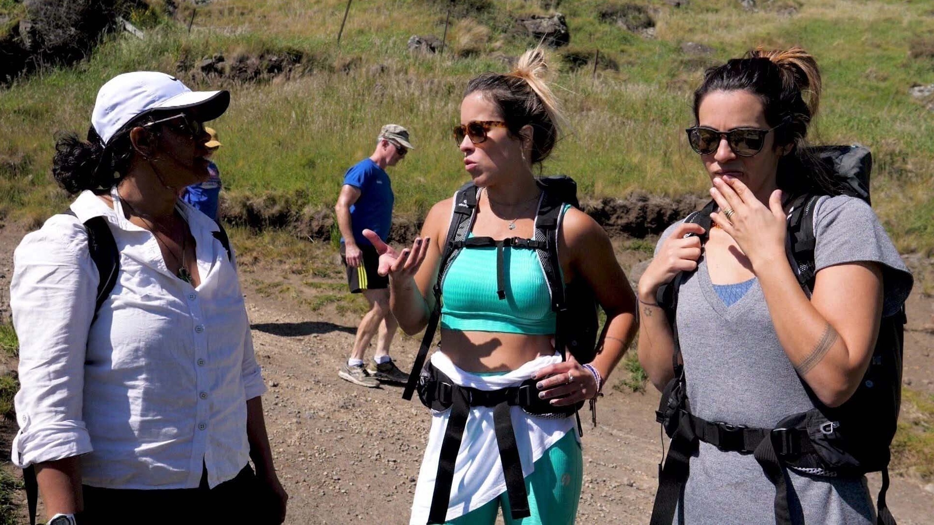 Trilhas e Travessias : Mar e Montanhas em Christchurch