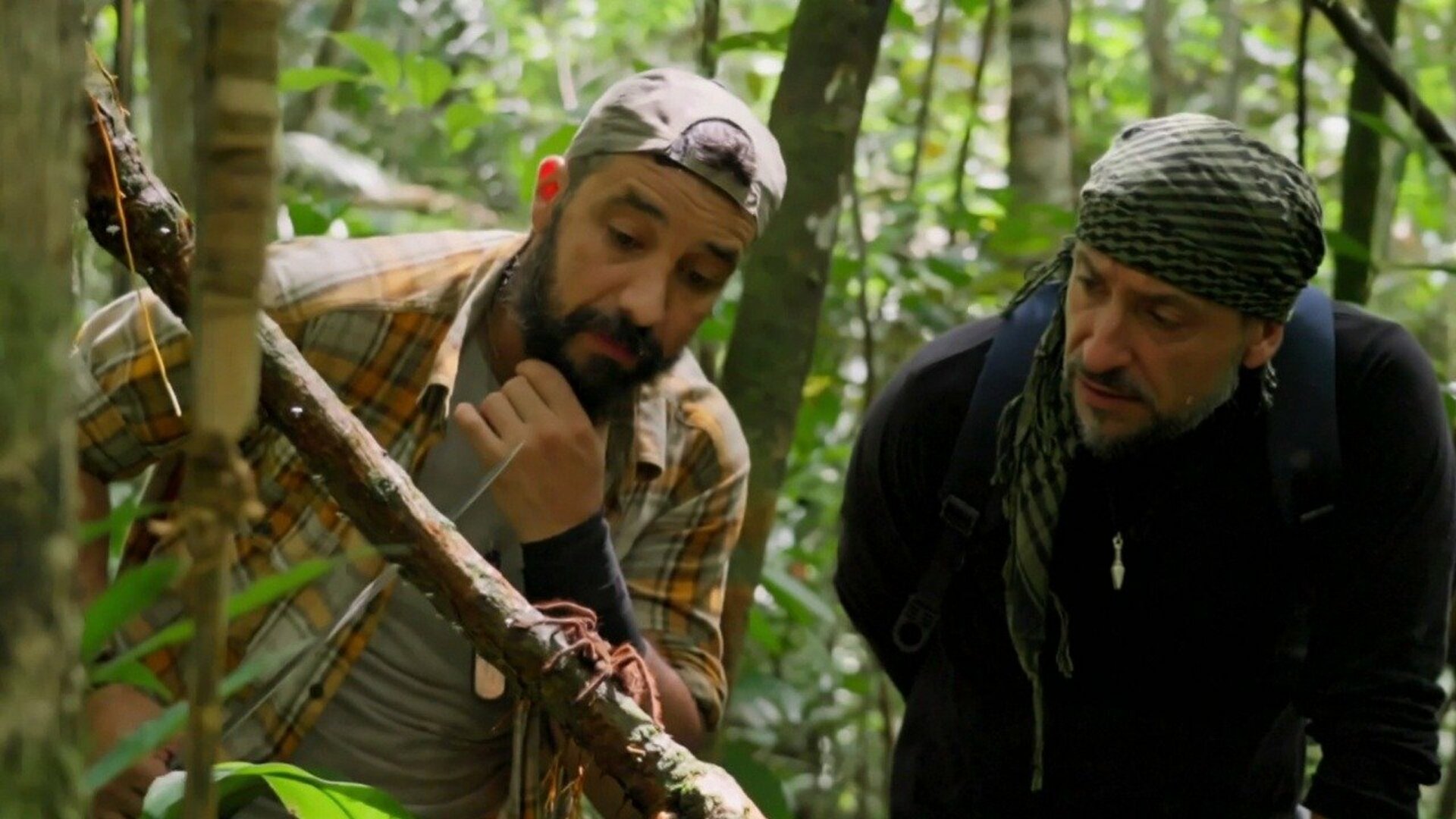 Desafio em Dose Dupla - Brasil : Amazonas