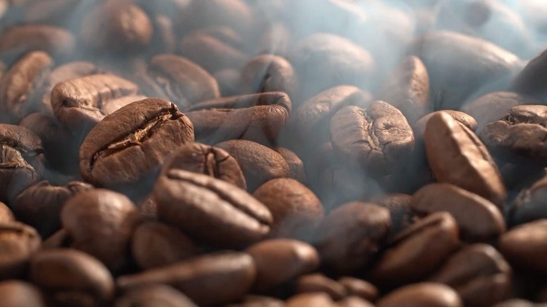 Raiz Café Brasil
