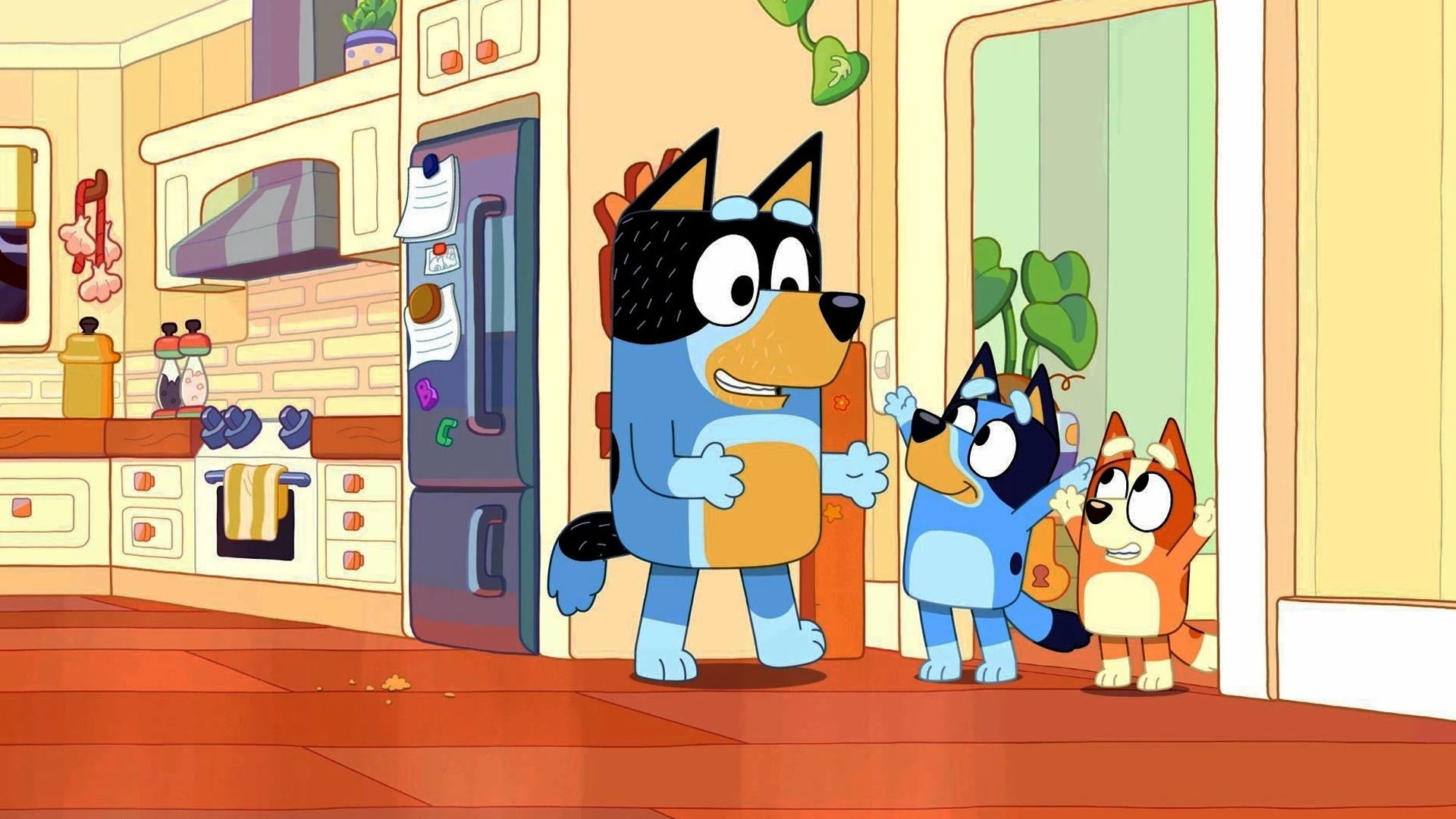 Bluey : Ovelhinha; Limpando a Casa