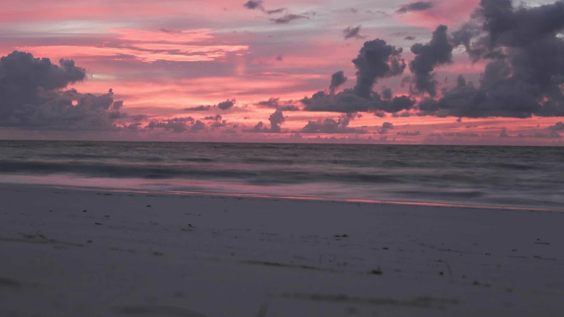 Vida na Praia : Negócios de Familia