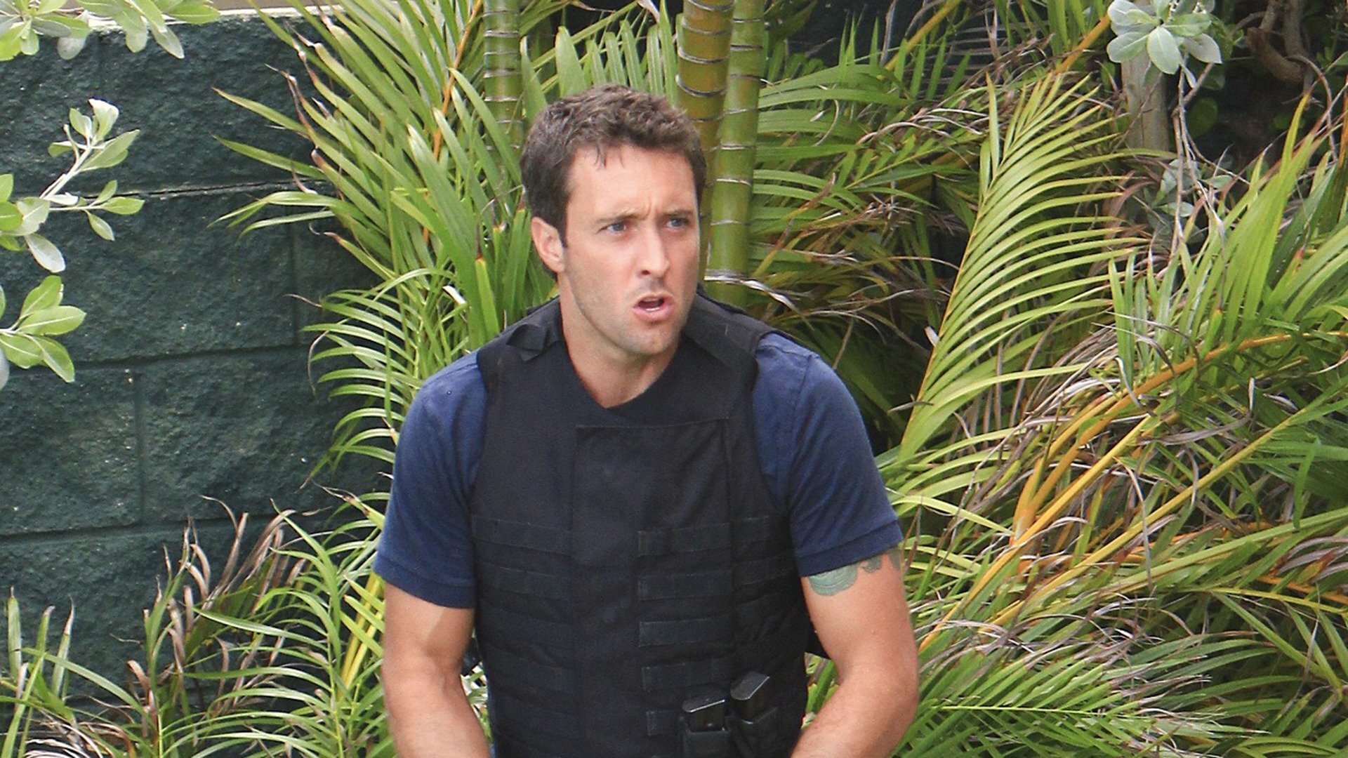 Hawaii Five-0 : Ua Hiki Mai Kapalena Pau